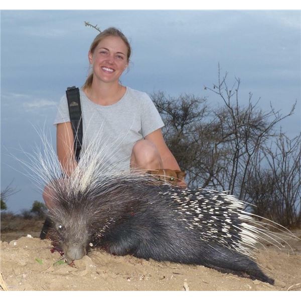 Collectors Hunt - Dzombo Hunting Safaris