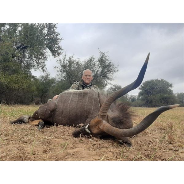 Spiral Horn Slam - Jannie Otto Safaris