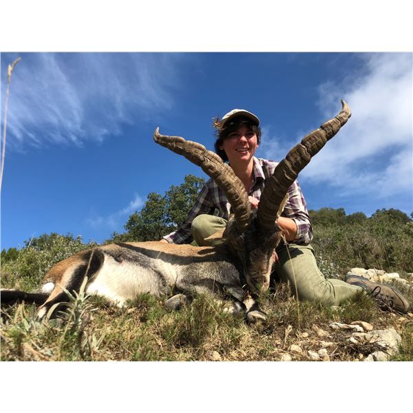 Beceite Ibex - La Espadella Hunting