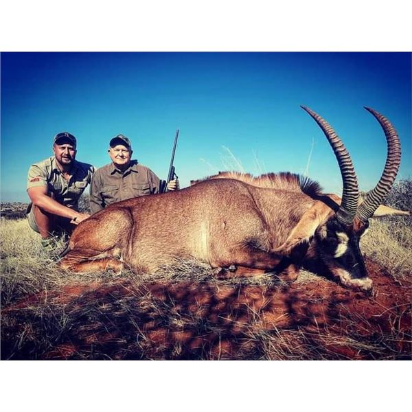 Roan Hunt for 2 - Marupa Safaris