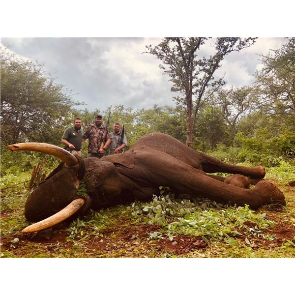 Elephant Hunt (Zimbabwe) - Cloete & West Safaris