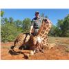 Image 2 : CHASSEURS DE MOCAMBIQUE: 7-Day South African Hunt for 1-Bull Giraffe and 1-Bull Buffalo for One Hunt