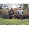 Image 2 : Y BAR RANCH:  3-Day/2-Night Rio Turkey and Hog Hunt in Texas for One Hunter and One Observer