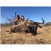 Image 2 : MANGWA HUNTING SAFARIS: 9-Day South African Safari for Two Hunters and 2 Non-Hunters for 2x Blesbok,