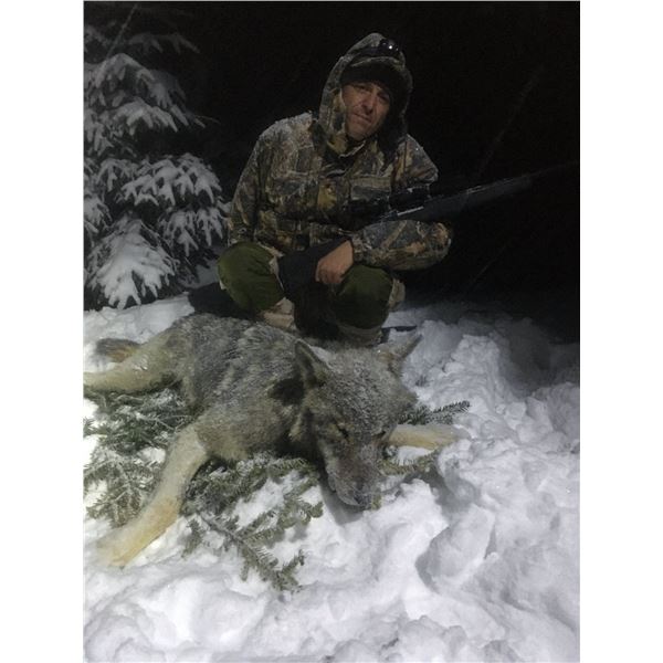 SAFARI INTERNATIONAL MACEDONIA: 5-Day European Grey Wolf Hunt for One Hunter and One Non-Hunter in B