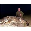 Image 3 : SAFARI INTERNATIONAL MACEDONIA: 5-Day European Grey Wolf Hunt for One Hunter and One Non-Hunter in B