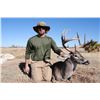 Image 1 : GRAY RANCH:  4-Day West Texas Whitetail Buck/Doe Combo Hunt for Two Hunters