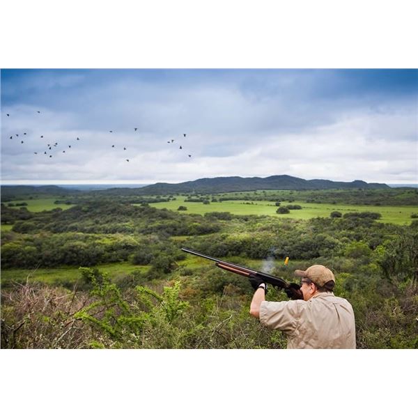 ARGENTINA PUELO EXPEDITIONS: 3-Day High Volume Dove Shoot for up to Three Hunters in Beautiful Cordo