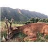 Image 2 : THE IBERIAN HUNTING EXPERIENCE: 4-Day Hunt and Tour Experience in Spain for One Hunter and One Obser