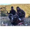Image 3 : THE IBERIAN HUNTING EXPERIENCE: 4-Day Hunt and Tour Experience in Spain for One Hunter and One Obser