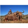 Image 2 : TAM SAFARIS:  6-Day, 1x1 Trophy Golden Wildebeest Hunt in South Africa for One Hunter and One Non-Hu