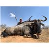 Image 6 : MANGWA HUNTING:  9-Day South African Safari, 1 Day of Wingshooting and a 1-Day Zipline Excursion for