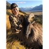 Image 2 : WILDERNESS QUEST NEW ZEALAND:  5-Day/4-Night Hunt for Red Stag Plus a $1,000 Credit Towards Tahr in