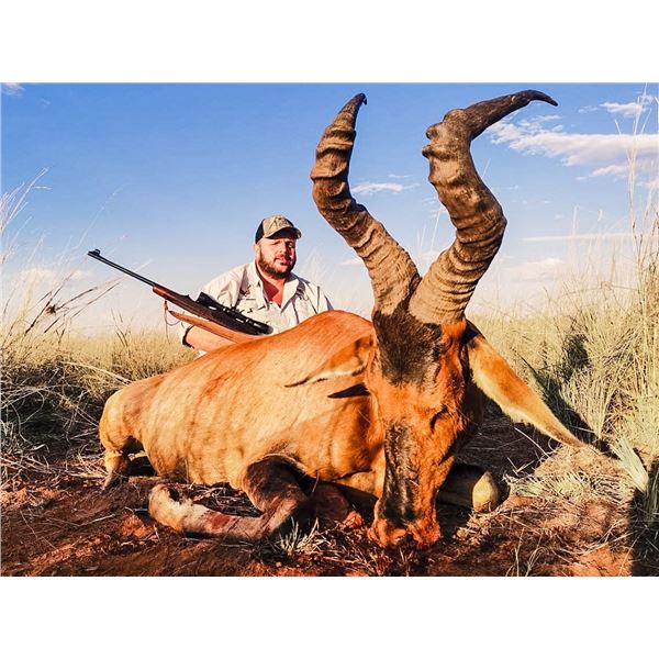 NAHLA SAFARIS:  7-Day Sable and Plains Game Hunt for One Hunter with Trophy Fees