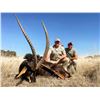 Image 4 : NAHLA SAFARIS:  7-Day Sable and Plains Game Hunt for One Hunter with Trophy Fees