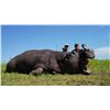 Image 2 : GAME TRACKERS AFRICA:  5-Day Management Hippo and Crocodile Hunt in Namibia for One Hunter