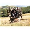 Image 1 : SPEY CREEK:  5-Day Red Stag Hunt for Two Hunters and Two Observers on a Private Ranch in Kaikoura, N