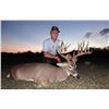 Image 3 : COTTON MESA:  3-Day Trophy Whitetail Hunt for One Hunter in Texas