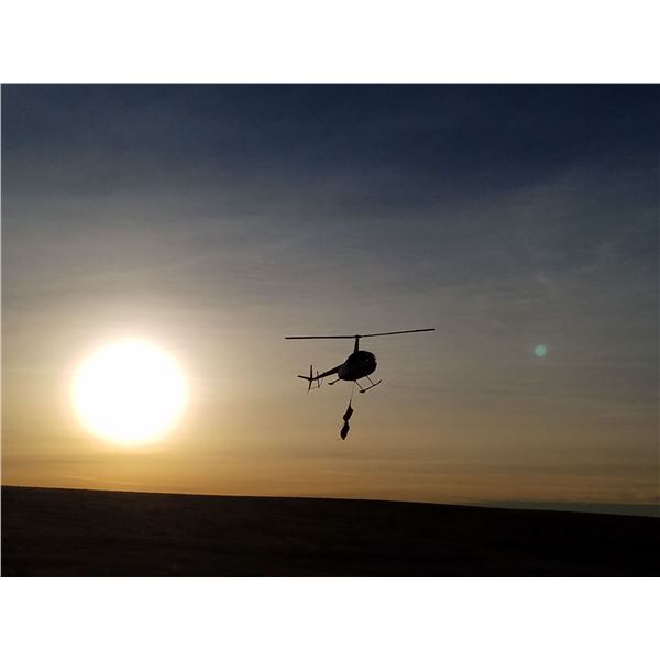 TEXAS PARKS AND WILDLIFE:  Texas Big Game Capture and Research with Texas Parks and Wildlife Departm