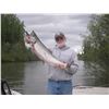 Image 1 : ALASKA'S MCDOUGAL LODGE:  6-Day/5-Night Fishing Adventure for Two Anglers in Alaska