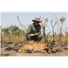 Image 1 : MAYO OLDIRI:  6-Day Oribi Antelope Cameroon Savannah Safari for One Hunter and One Observer
