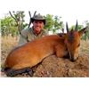 Image 4 : MAYO OLDIRI:  6-Day Oribi Antelope Cameroon Savannah Safari for One Hunter and One Observer