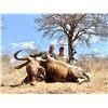 Image 5 : ROOIBOSBULT SAFARIS:  7-Day South African Bowhunting Adventure for Plains Game Plus Extra Credit for