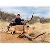 Image 6 : ROOIBOSBULT SAFARIS:  7-Day South African Bowhunting Adventure for Plains Game Plus Extra Credit for