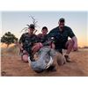 Image 7 : ROOIBOSBULT SAFARIS:  7-Day South African Bowhunting Adventure for Plains Game Plus Extra Credit for