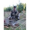 Image 5 : UPFRONT OUTFITTERS:  Western Oregon Blacktail Deer Hunt for One Hunter and One Observer