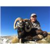 Image 3 : TROPHY HUNTING SPAIN:  5-Day Hunt in Spain for Iberian Mouflon Sheep for One Hunter and One Non-Hunt
