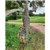 Image 1 : BOSCHNEL SAFARIS:  7-Day Authentic Trophy Nile Crocodile Hunting Adventure for Two Hunters