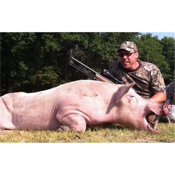 ARCTIC HOGS HUNT FOR 4 HUNTERS – MICHIGAN