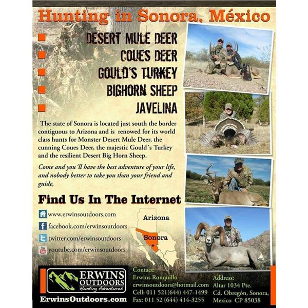 COUES DEER HUNT – SONORA MEXICO