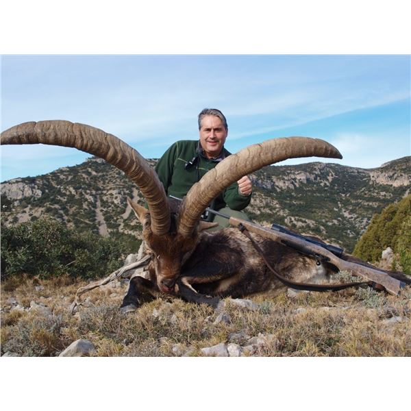 BECEITE IBEX HUNT – SPAIN