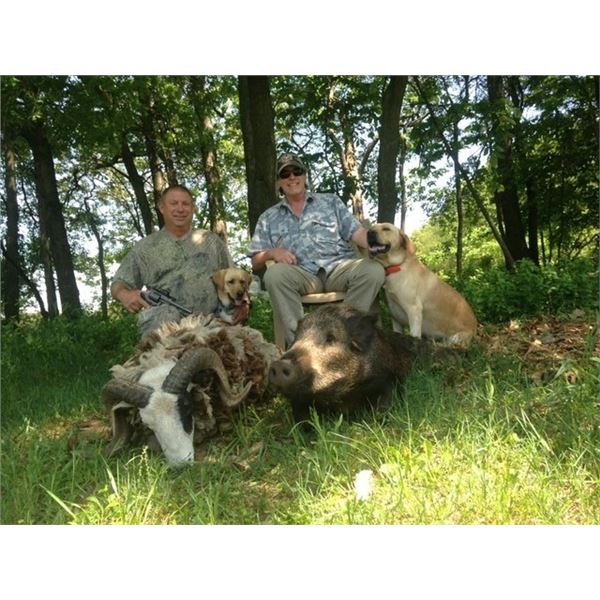 TED NUGENT PORK SLAM – MICHIGAN