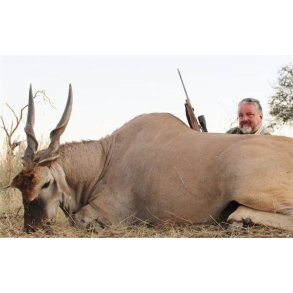2 ELAND, 2 IMPALA, 2 WARTHOGS - NAMIBIA