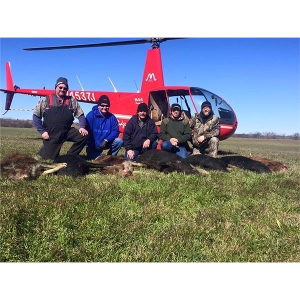 2-HOUR HELICOPTER HOG HUNT – TEXAS