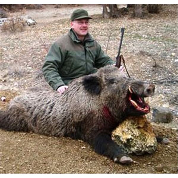 BOAR, RAM, GOAT HUNT PACKAGE – ARGENTINA