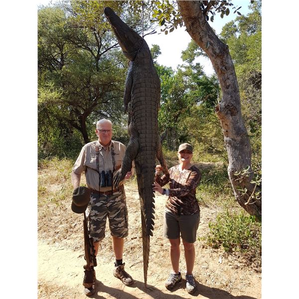 7 Day Nile Crocodile Safari or Sable