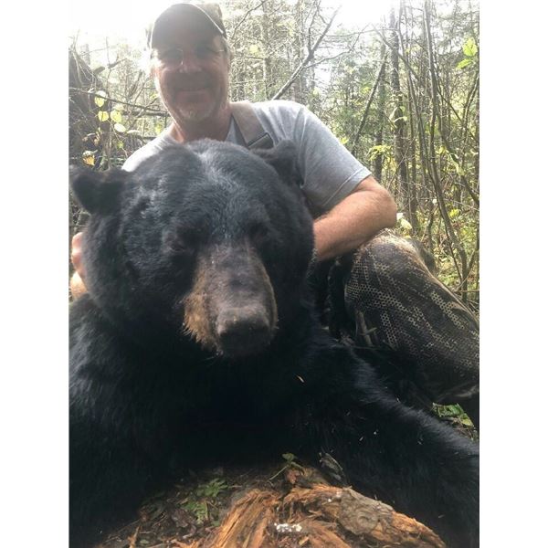 Minnesota Giant Black Bear Hunt