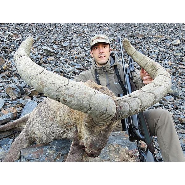 Mid-Caucasian Tur Hunt in Russia