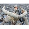 Image 1 : Mid-Caucasian Tur Hunt in Russia
