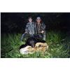 Image 2 : British Columbia Spring Black Bear for 2 Hunters