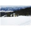Image 4 : 4 Day Snowmobile trip in Colorado for up to 4