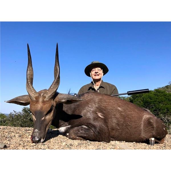 South Africa Bushbuck Hunt for 2