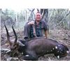 Image 2 : South Africa Bushbuck Hunt for 2
