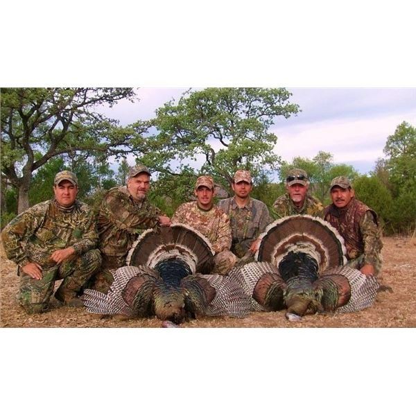 Mexico Goulds Turkey Hunt for 2