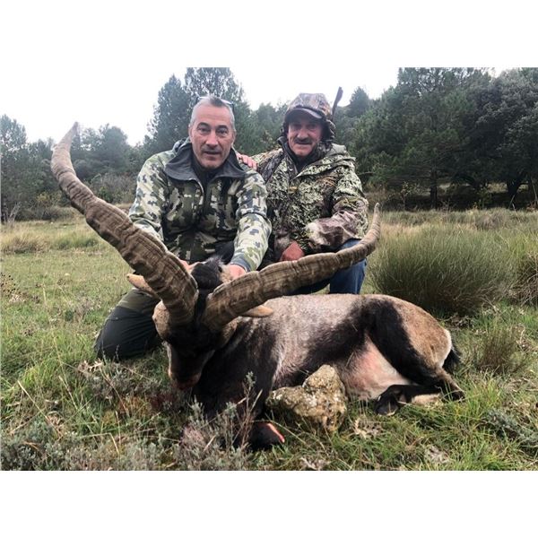 Spain Beceite Ibex for 2 Hunters