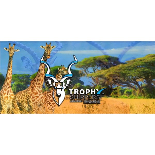 Customs Clearance Certificate